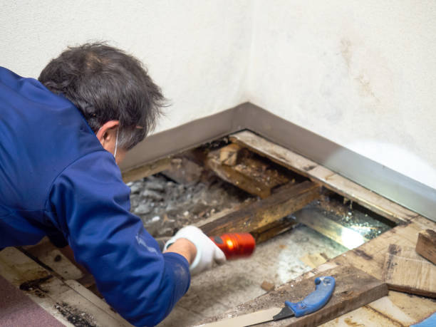 Water Damage Restoration in Middlebury, IN